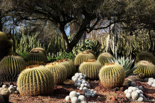 8a7006c5b68802097f450c4c2b17e256_1791243080_8589.jpg